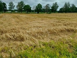 Sklypas Kretingos rajono sav., Padvariuose