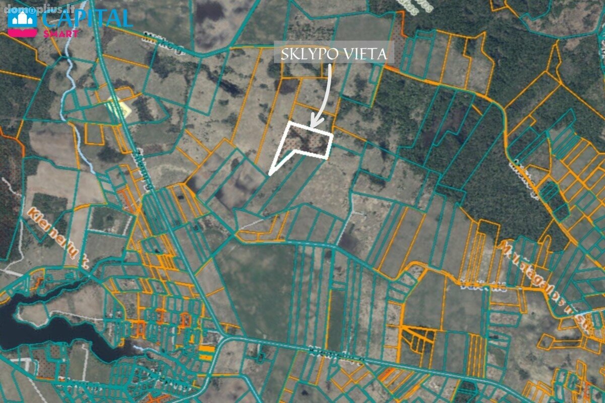 Parduodamas sklypas Vilniaus rajono sav., Kiemeliuose