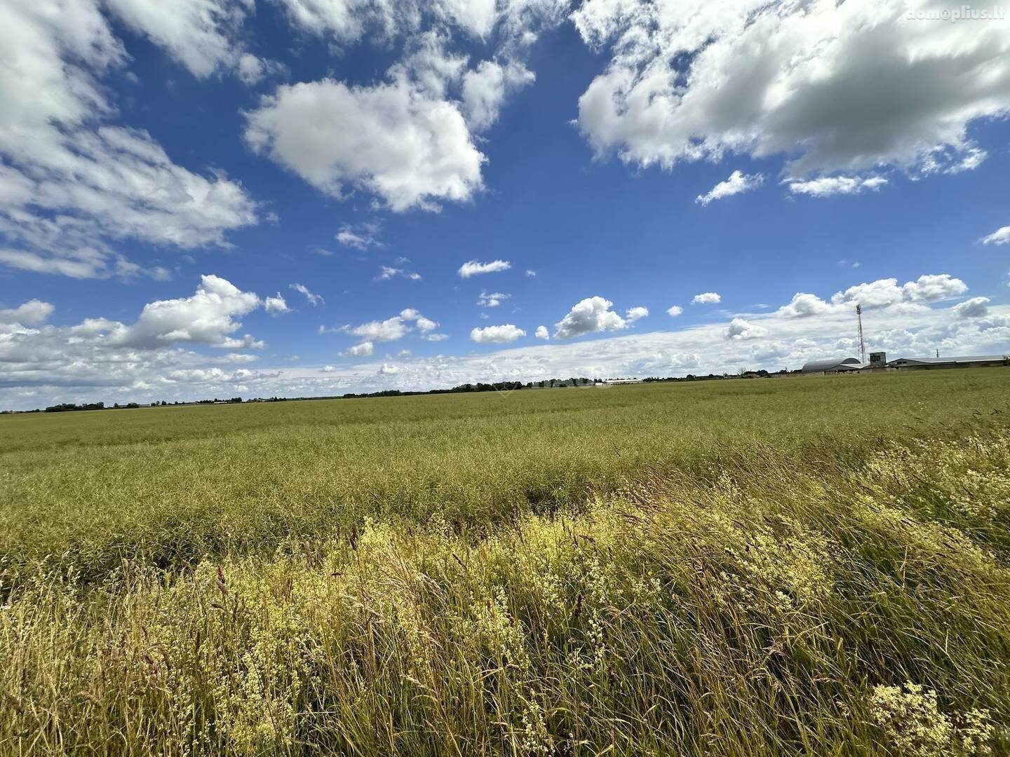 Land for sale Panevėžio rajono sav., Šilagalyje