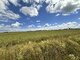 Land for sale Panevėžio rajono sav., Šilagalyje (5 picture)