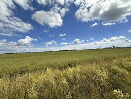 Land for sale Panevėžio rajono sav., Šilagalyje