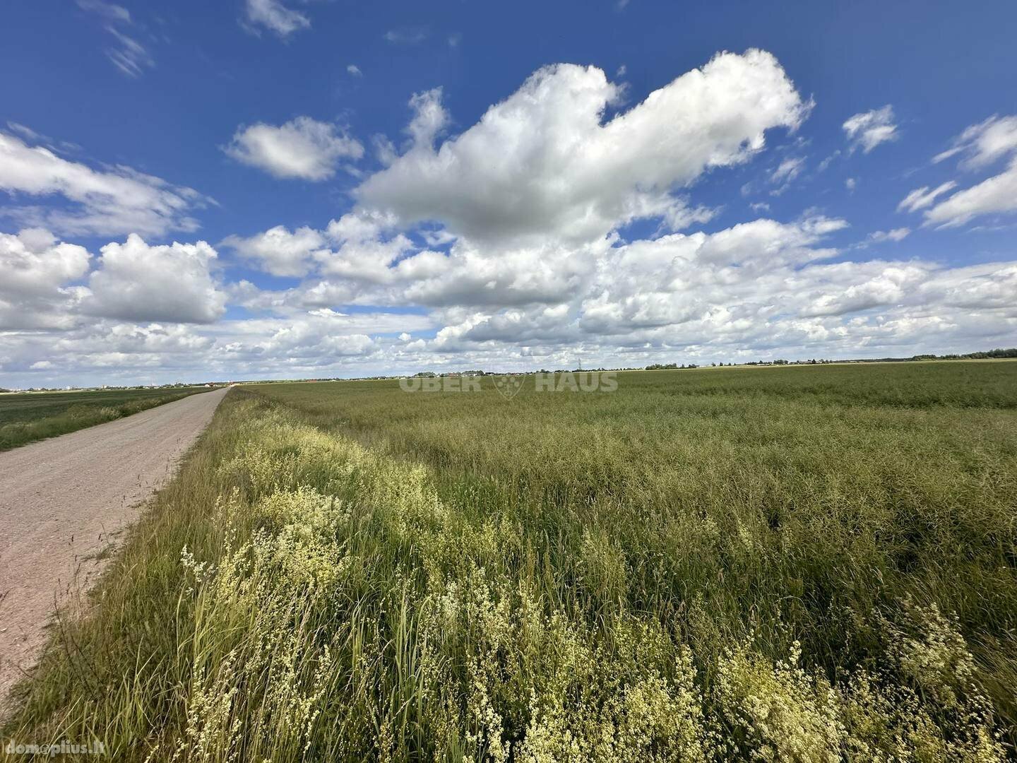 Land for sale Panevėžio rajono sav., Šilagalyje