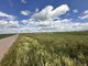 Land for sale Panevėžio rajono sav., Šilagalyje (6 picture)