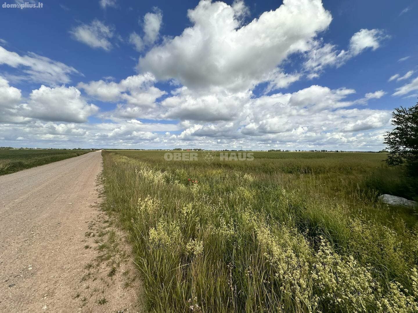 Land for sale Panevėžio rajono sav., Šilagalyje