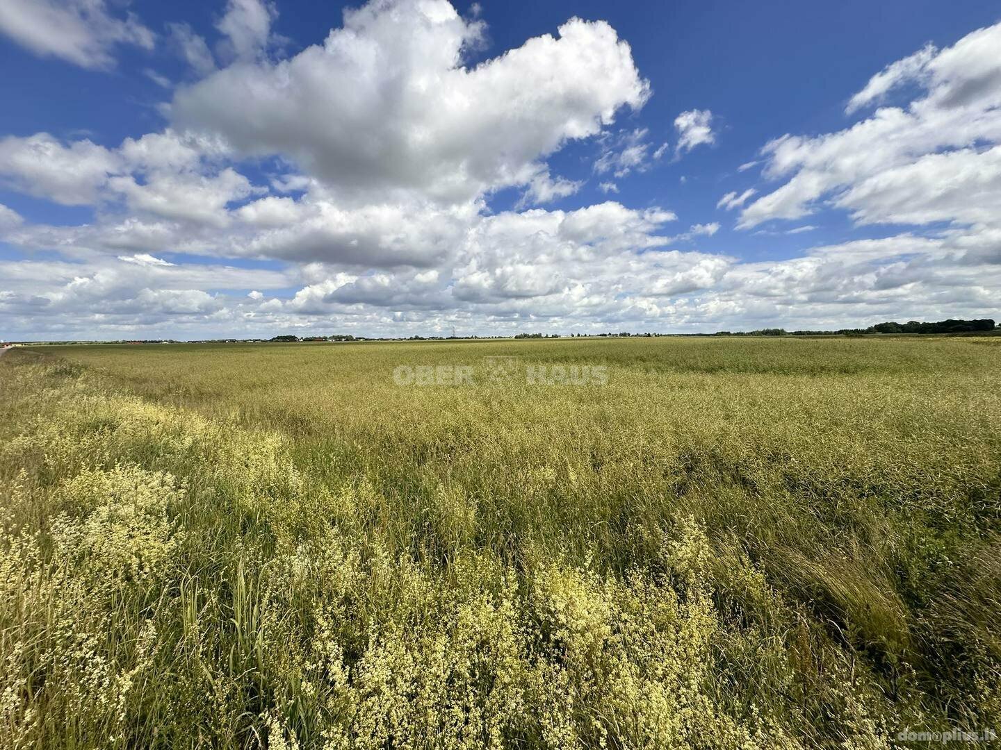 Land for sale Panevėžio rajono sav., Šilagalyje