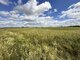 Land for sale Panevėžio rajono sav., Šilagalyje (8 picture)