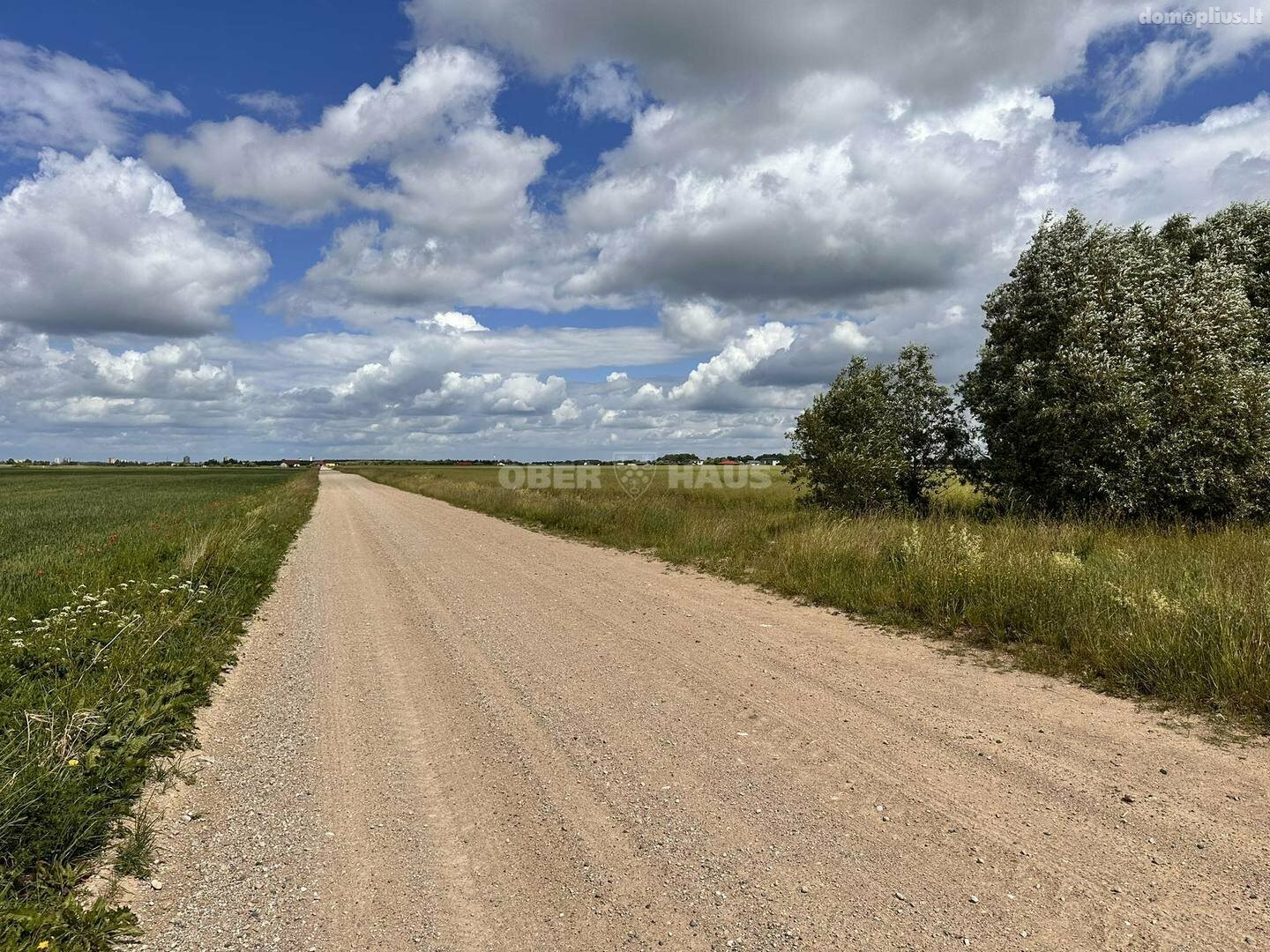 Land for sale Panevėžio rajono sav., Šilagalyje