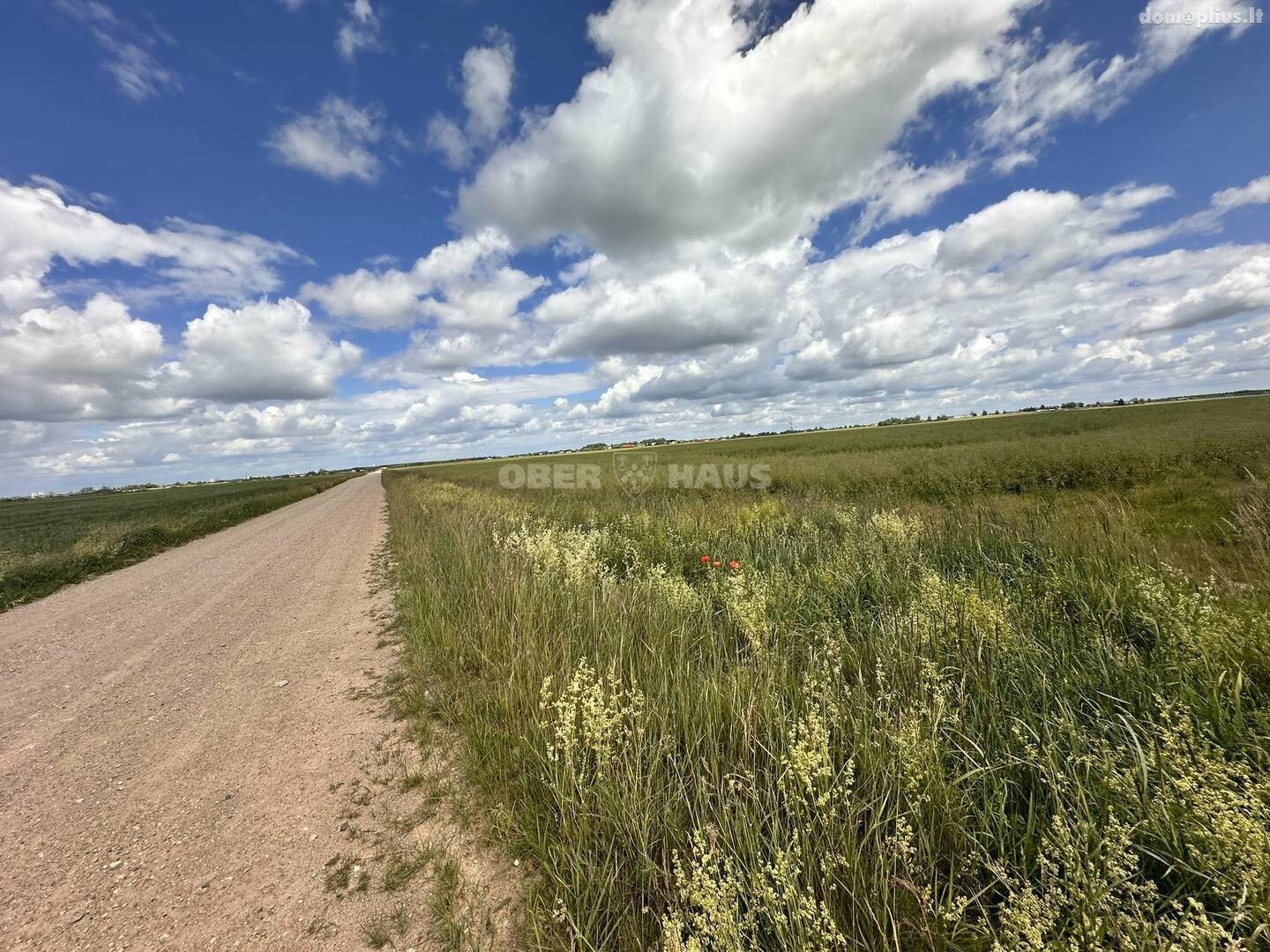 Land for sale Panevėžio rajono sav., Šilagalyje