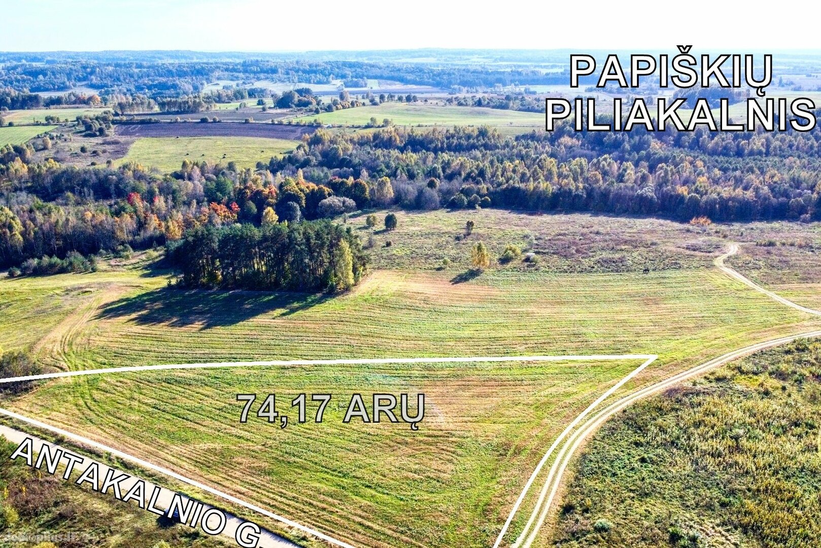 Parduodamas sklypas Vilniaus rajono sav., Papiškėse, Gulbių g.