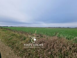 Parduodamas sklypas Klaipėdos rajono sav., Leliuose