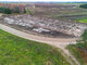 Land for sale Šilutės rajono sav., Vilkyčiuose (2 picture)