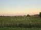 Land for sale Klaipėdos rajono sav., Agluonėnuose (3 picture)