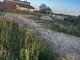 Land for sale Klaipėdos rajono sav., Gvildžiuose (3 picture)
