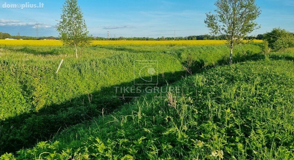 Parduodamas sklypas Klaipėdos rajono sav., Gargžduose