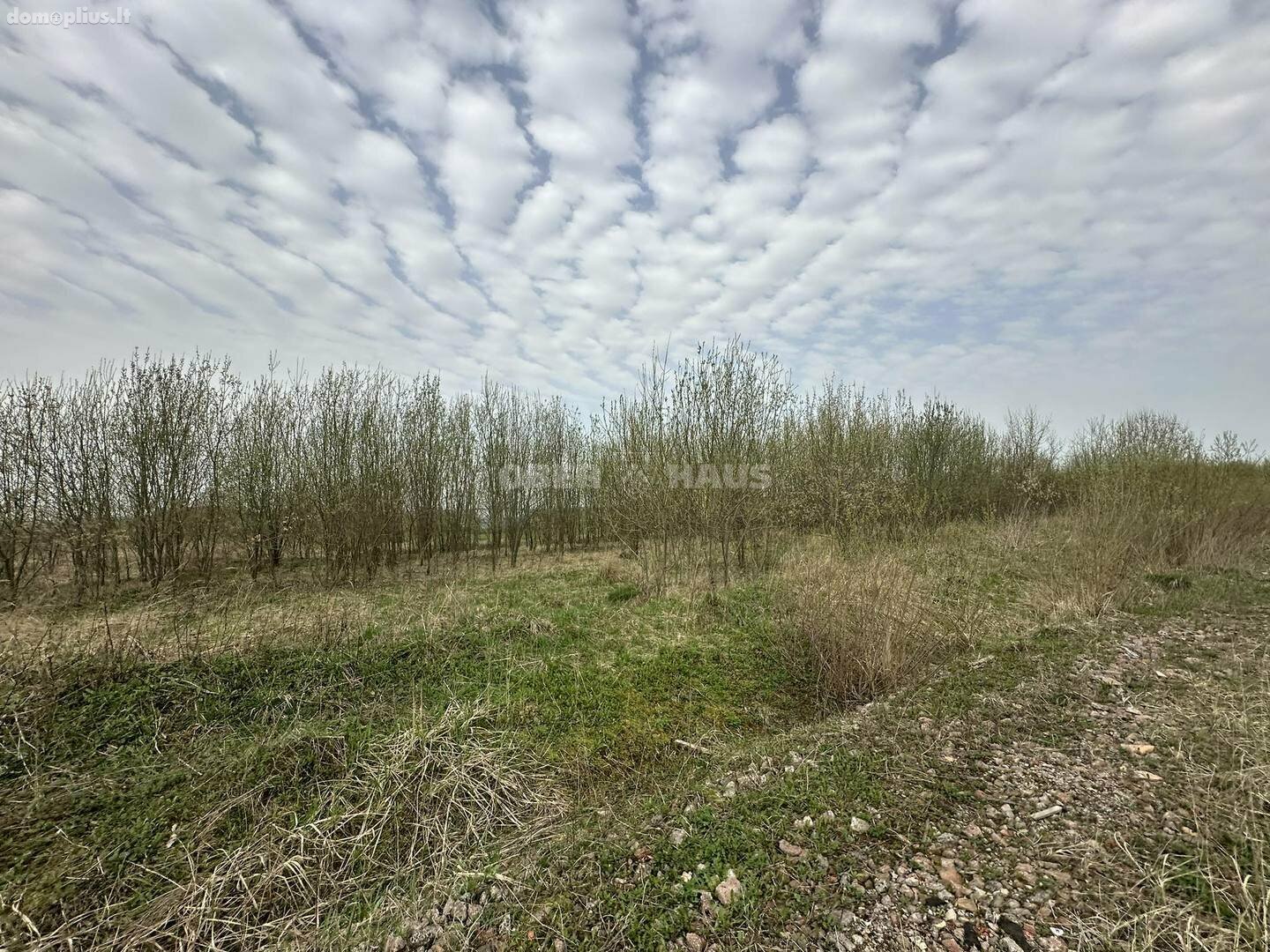 Участок Panevėžio rajono sav., Stetiškiuose
