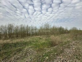 Land for sale Panevėžio rajono sav., Stetiškiuose
