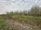 Land for sale Panevėžio rajono sav., Stetiškiuose (3 picture)
