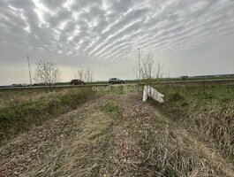 Land for sale Panevėžio rajono sav., Stetiškiuose