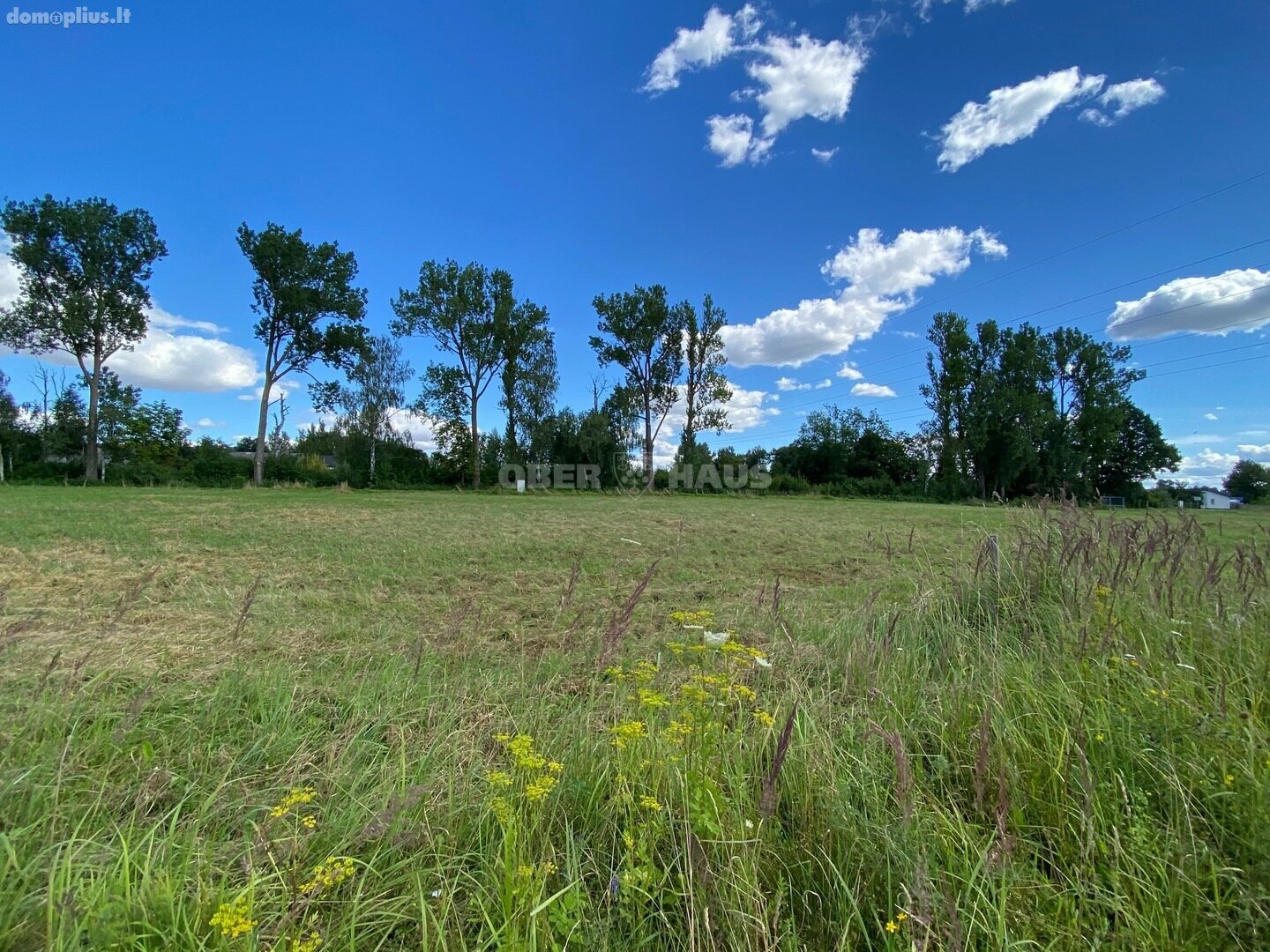 Parduodamas sklypas Šiaulių rajono sav., Toliočiuose