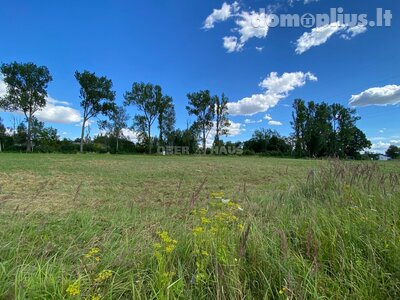 Parduodamas sklypas Šiaulių rajono sav., Toliočiuose