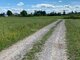 Parduodamas sklypas Šiaulių rajono sav., Toliočiuose (4 nuotrauka)