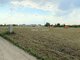 Parduodamas sklypas Šiaulių rajono sav., Toliočiuose (6 nuotrauka)