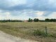 Parduodamas sklypas Šiaulių rajono sav., Toliočiuose (11 nuotrauka)