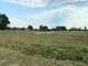 Parduodamas sklypas Šiaulių rajono sav., Toliočiuose (13 nuotrauka)