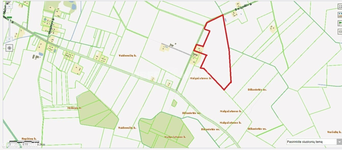 Parduodamas sklypas Anykščių rajono sav., Malgažatavoje