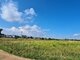 Land for sale Vilniaus rajono sav., Avižieniuose (7 picture)