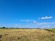 Land for sale Vilniaus rajono sav., Avižieniuose (8 picture)
