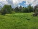 Land for sale Trakų rajono sav., Varnikuose (5 picture)