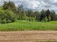 Land for sale Trakų rajono sav., Varnikuose (7 picture)