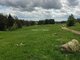 Land for sale Trakų rajono sav., Varnikuose (13 picture)