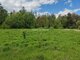 Land for sale Trakų rajono sav., Varnikuose (17 picture)