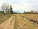 Land for sale Panevėžyje, Kniaudiškiuose (6 picture)