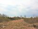 Land for sale Panevėžyje, Kniaudiškiuose (10 picture)