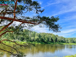 Land Vilniaus rajono sav., Tuščiauliuose