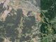 Parduodamas sklypas Vilniaus rajono sav., Kalveliuose (7 nuotrauka)