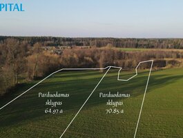 Parduodamas sklypas Šalčininkų rajono sav., Gasčionyse