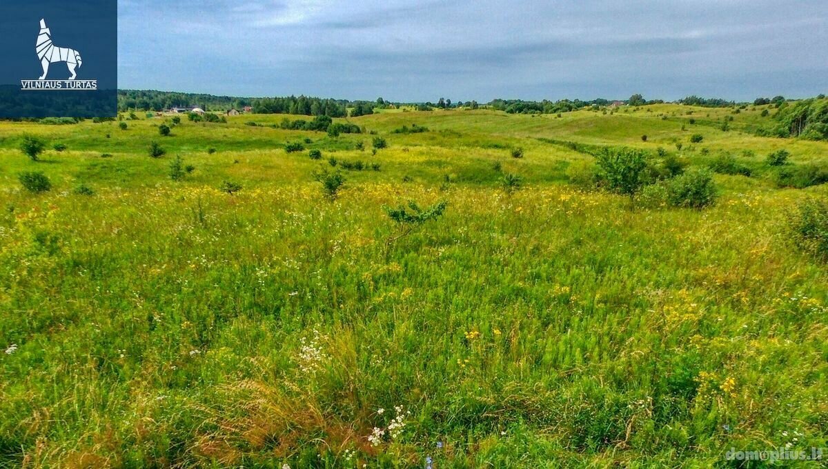 Участок Vilniaus rajono sav., Vaivadiškiuose