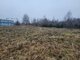Parduodamas sklypas Kretingos rajono sav., Kūlupėnuose, Pušyno g. (8 nuotrauka)