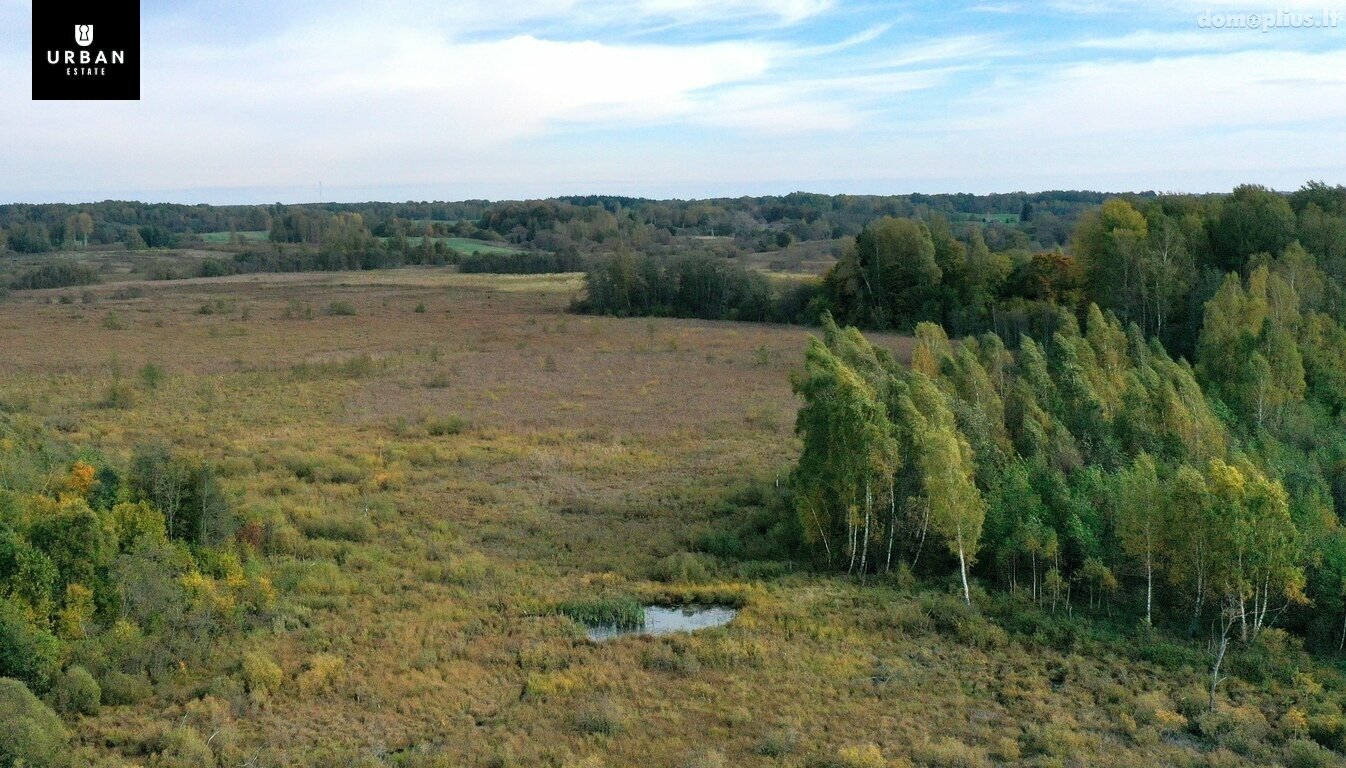 Участок Vilniaus rajono sav., Pogroniškėse