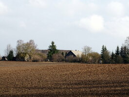 Parduodamas sklypas Šiaulių rajono sav., Šapnagiuose