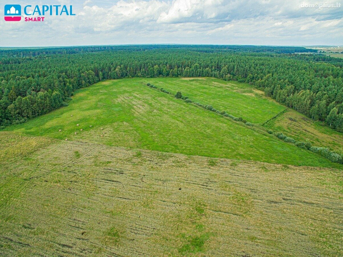 Land for sale Trakų rajono sav., Senasis Tarpupis