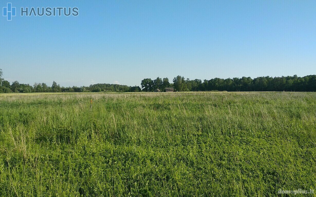 Участок Panevėžys, Panevėžyje, Antano Belazaro g.