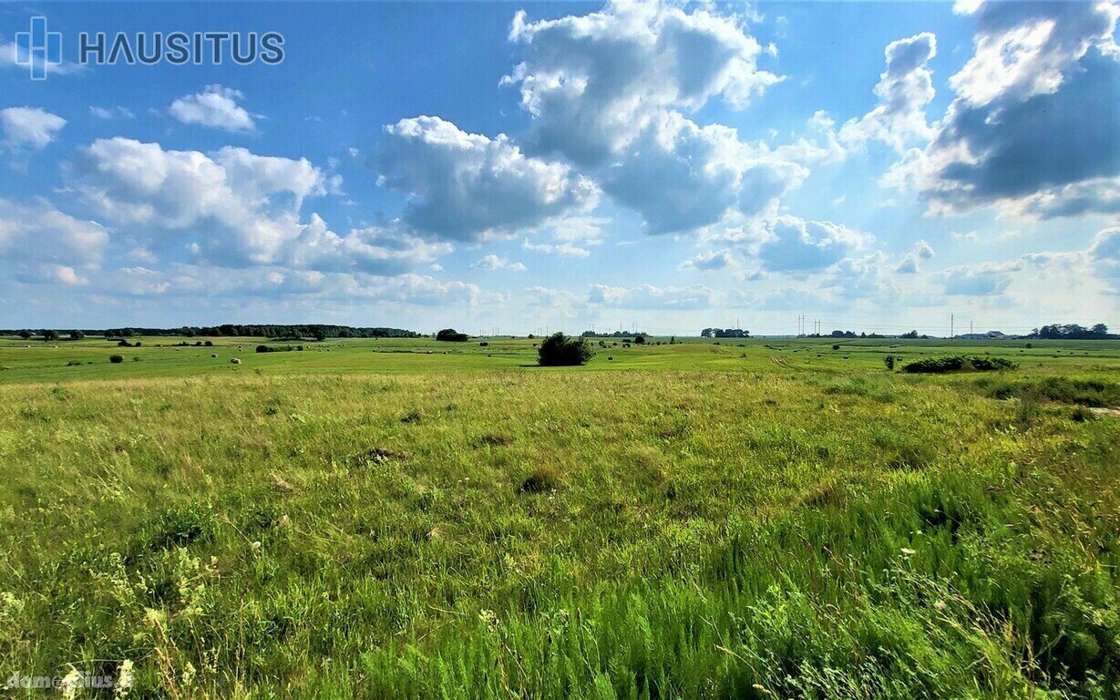 Parduodamas sklypas Panevėžio rajono sav., Molainiuose