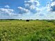 Parduodamas sklypas Panevėžio rajono sav., Molainiuose (3 nuotrauka)