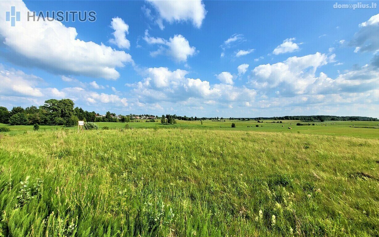 Parduodamas sklypas Panevėžio rajono sav., Molainiuose