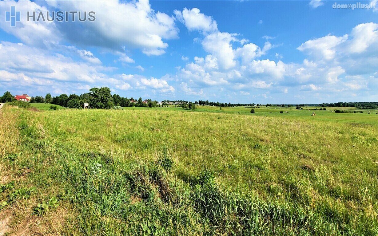 Parduodamas sklypas Panevėžio rajono sav., Molainiuose
